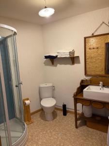 a bathroom with a shower and a toilet and a sink at Odcvl - Le Moulin Gentrey in Harsault