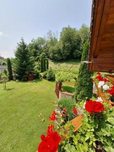 Zahrada ubytování Privatzimmer am Weinbrunnen
