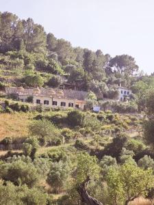 Gallery image of Agroturismo Finca Can Sec in Alaró