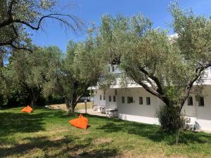 two orange tents in the grass in front of a building at Sophies Olive haven in Possidi