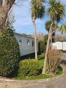 a green house between two palm trees and a street at 3 bed family static caravan in Selsey