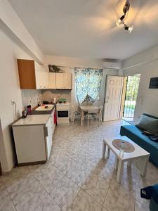 Η κουζίνα ή μικρή κουζίνα στο Sea you Apartment +5 φωτογραφίες