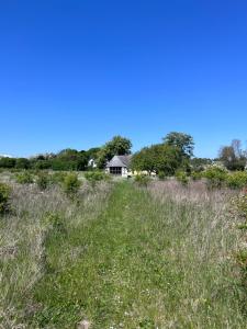 a field of grass with a house in the background at Langegyde in Vester-Skerninge +3 photos