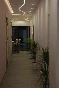 Fotografie z fotogalerie ubytování Hotel La Rosa v destinaci Tirane