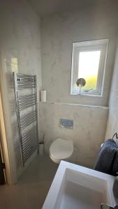 a bathroom with a toilet and a window and a sink at The Tides Inn in Ballynagaul