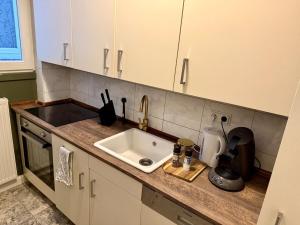 a kitchen with a sink and a counter top at Luxury 5BR City Villa - Chic & Spacious - Families in Oldenburg