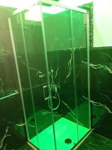 パレルモにあるSuite Nobileの緑の床とガラスの囲いのあるシャワー