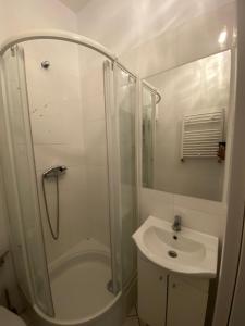 un bagno bianco con doccia e lavandino di Fałata pokoje a Kobyłka Altre 10 foto