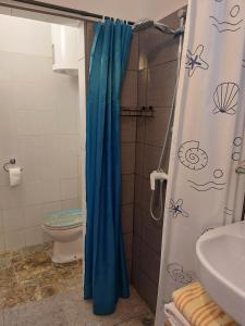 a bathroom with a shower with a blue shower curtain at Studio Booksa in Premantura