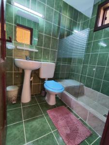 a green tiled bathroom with a toilet and a sink at Pensiunea Orion in Costinesti +23 photos