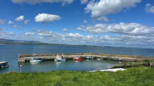 a group of boats docked at a dock on a lake at The Tides Inn in Ballynagaul
