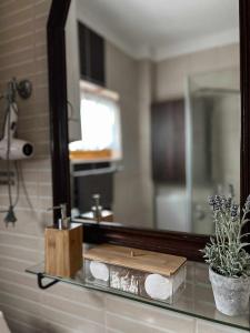 a bathroom counter with a mirror and a sink at Nefelejcs-el vendeghaz in Balatonmáriafürdő +25 photos
