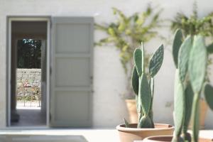 a group of potted plants sitting on a table at Masseria Borgo Sentinella in Torre dell'Orso
