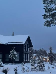 ein schwarzes Haus mit Schnee auf dem Dach in der Unterkunft Villavemdalen in Vemdalen