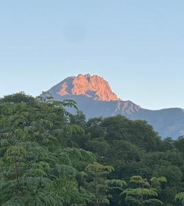 Afbeelding uit fotogalerij van Meru View Retreat in Usa River