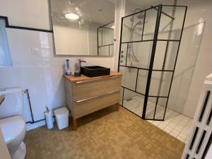a bathroom with a shower and a sink and a toilet at p'tite maison in La Suze-sur-Sarthe