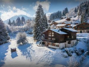 an aerial view of a house in the snow at Chalet Isla de Lux - OVO Network in La Côte dʼArbroz