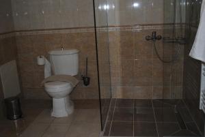 Un baño con inodoro y ducha de cristal. en Stone House by the Sea, en Tavronitis