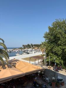 Φυσικό τοπίο κοντά σε αυτό το διαμέρισμα