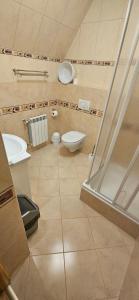 a bathroom with a toilet and a sink and a shower at Maria Chyc wynajem pokoi gościnnych in Zakopane
