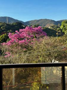 Φυσικό τοπίο κοντά σε αυτό το διαμέρισμα