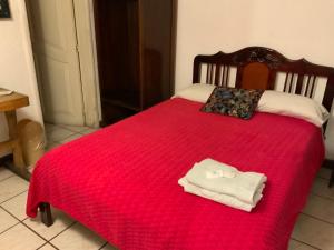 Postel nebo postele na pokoji v ubytování Hostal Almagro