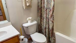 a bathroom with a toilet and a shower curtain at A Painted Pony in Sevierville +27 photos