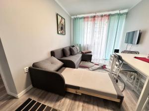 TV a/nebo společenská místnost v ubytování Centrum Pańska3 Apartment PARKING