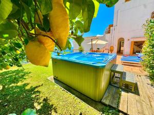 Πισίνα στο ή κοντά στο Sweet Home Unheated Jetted Pool