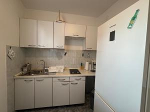 Kuchyň nebo kuchyňský kout v ubytování Apartmani Meri