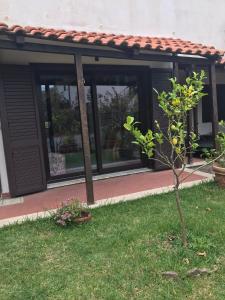 a screened in porch with a tree in the yard at Il Pettirosso in Acciaroli