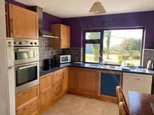 a kitchen with purple walls and wooden cabinets at Tranquil rural cottage in Killashandra