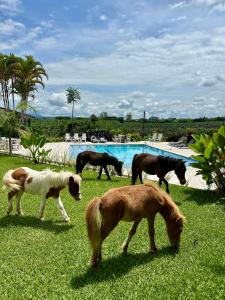 Animales en the country house o alrededores