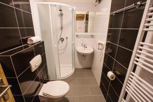 a bathroom with a toilet and a shower and a sink at Hotel Na Šustně in Krupá