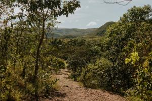 a path through the trees on a trail at EIT Eco Inteligente in Alto Paraíso de Goiás