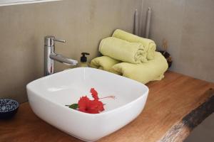 Φωτογραφία από το άλμπουμ του Nanasi Villa σε Kiwengwa