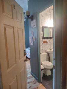 a bathroom with a toilet and a sink at Auberge Jeunesse à Loulou in Lévis +45 photos