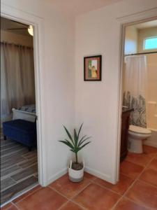 une salle de bain avec toilettes et une plante en pot dans l'établissement Desert Retreat -Quiet-Mountain views-hiking-golfing, à Tucson