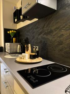 Kuchyňa alebo kuchynka v ubytovaní Apartman M - sa dvije spavaće sobe