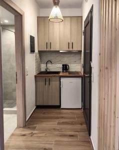 a kitchen with wooden cabinets and a sink and a refrigerator at Kaia Studios Agnondas in Agnontas