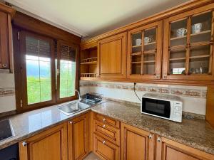 a kitchen with wooden cabinets and a sink and a microwave at La Mermellina, 20 in Arriondas