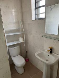 レッキにある2 Bedroom Apartment by lekki conservation centerのトイレと洗面台付きのバスルーム
