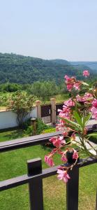 ein Strauß rosa Blumen auf einem Zaun in der Unterkunft ALIANA apartment in Sečovlje