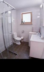 a bathroom with a shower and a toilet and a sink at Pajūrio namai in Juodkrantė +9 photos