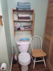 a bathroom with a toilet and a chair and towels at The Turk Lake House - Lakefront With Toys & Ac! in Greenville +25 photos