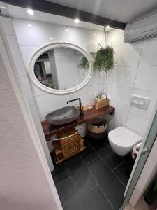a bathroom with a toilet and a mirror at Grotto in Rovinj