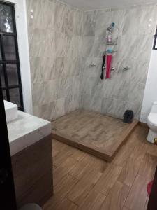 San Gaspar TlahuililpanにあるCasa Amplia con dos patios grandesのバスルーム(シャワー付)