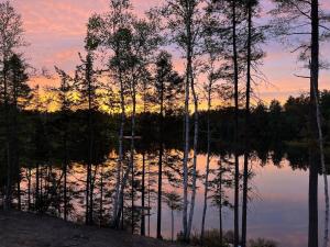 a reflection of trees in the water at sunset at Wolf Pond 1 - 3 Miles to Lake Placid NY in Lake Placid