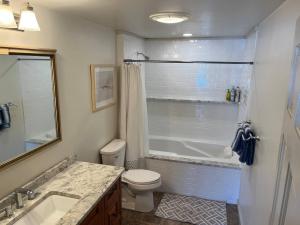a bathroom with a toilet and a sink and a shower at Wolf Pond 1 - 3 Miles to Lake Placid NY in Lake Placid +13 photos
