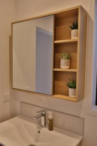 a bathroom sink with a mirror and two potted plants at Cosy Studio in Awaroa Road in Auckland